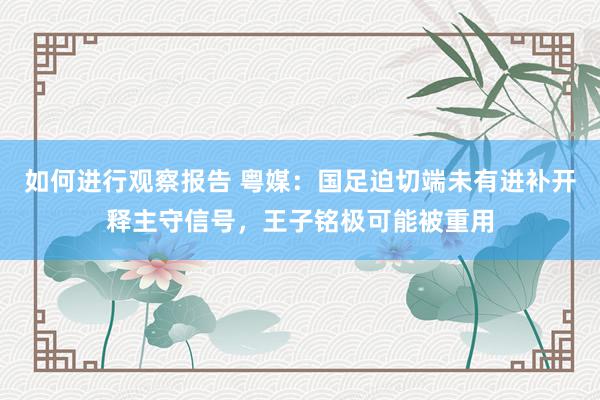 如何进行观察报告 粤媒：国足迫切端未有进补开释主守信号，王子铭极可能被重用