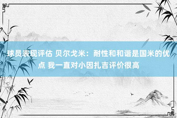 球员表现评估 贝尔戈米：耐性和和谐是国米的优点 我一直对小因扎吉评价很高