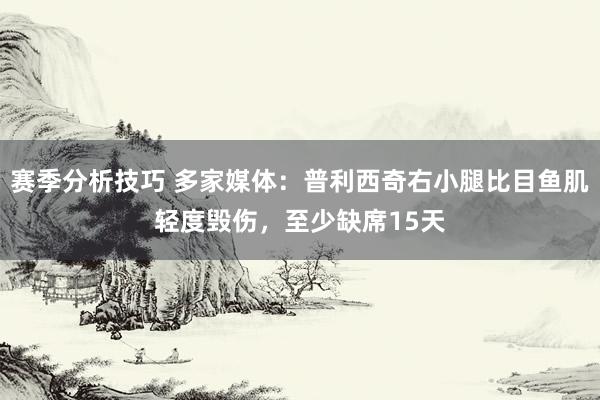 赛季分析技巧 多家媒体：普利西奇右小腿比目鱼肌轻度毁伤，至少缺席15天