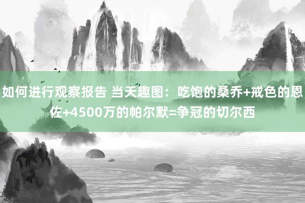 如何进行观察报告 当天趣图：吃饱的桑乔+戒色的恩佐+4500万的帕尔默=争冠的切尔西