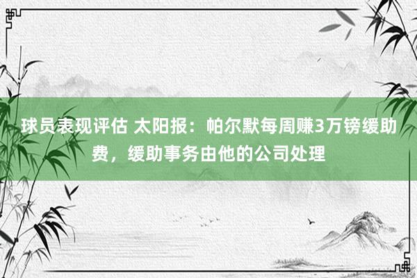 球员表现评估 太阳报：帕尔默每周赚3万镑缓助费，缓助事务由他的公司处理