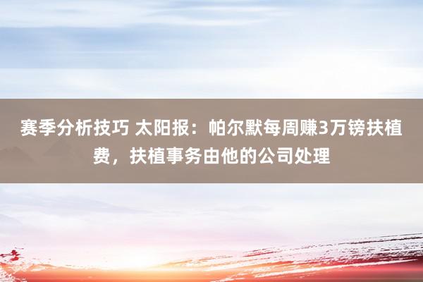 赛季分析技巧 太阳报：帕尔默每周赚3万镑扶植费，扶植事务由他的公司处理