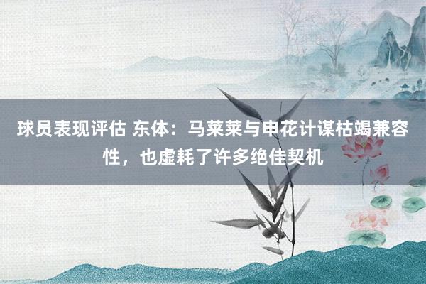 球员表现评估 东体：马莱莱与申花计谋枯竭兼容性，也虚耗了许多绝佳契机