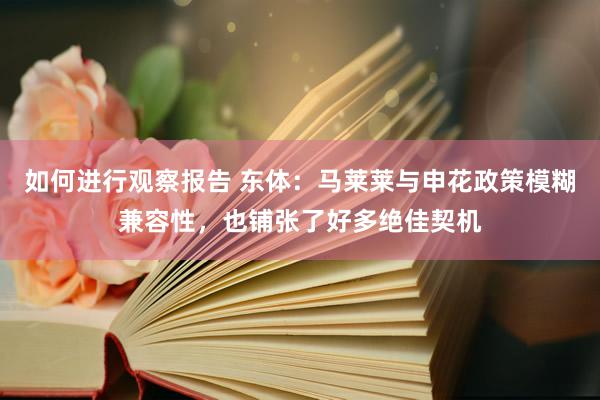 如何进行观察报告 东体：马莱莱与申花政策模糊兼容性，也铺张了好多绝佳契机