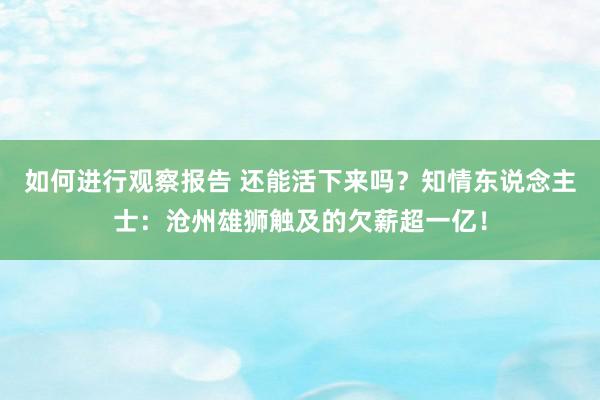 如何进行观察报告 还能活下来吗？知情东说念主士：沧州雄狮触及的欠薪超一亿！