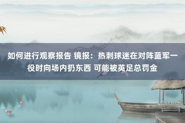 如何进行观察报告 镜报：热刺球迷在对阵蓝军一役时向场内扔东西 可能被英足总罚金