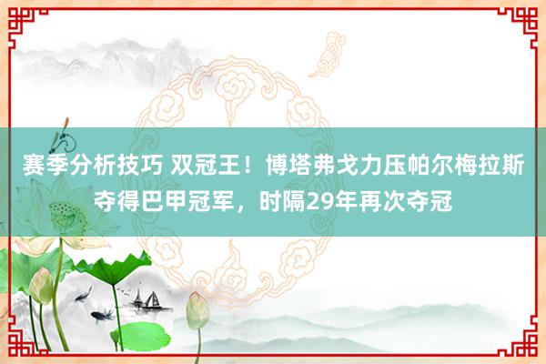 赛季分析技巧 双冠王！博塔弗戈力压帕尔梅拉斯夺得巴甲冠军，时隔29年再次夺冠