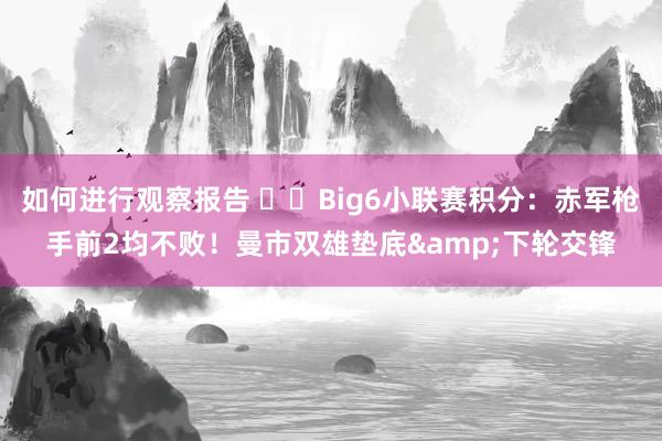 如何进行观察报告 ⚔️Big6小联赛积分：赤军枪手前2均不败！曼市双雄垫底&下轮交锋