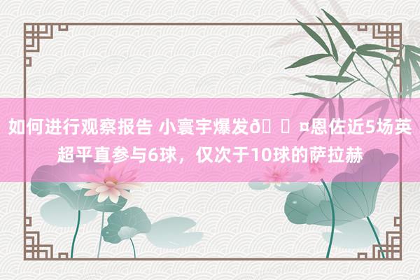 如何进行观察报告 小寰宇爆发😤恩佐近5场英超平直参与6球，仅次于10球的萨拉赫